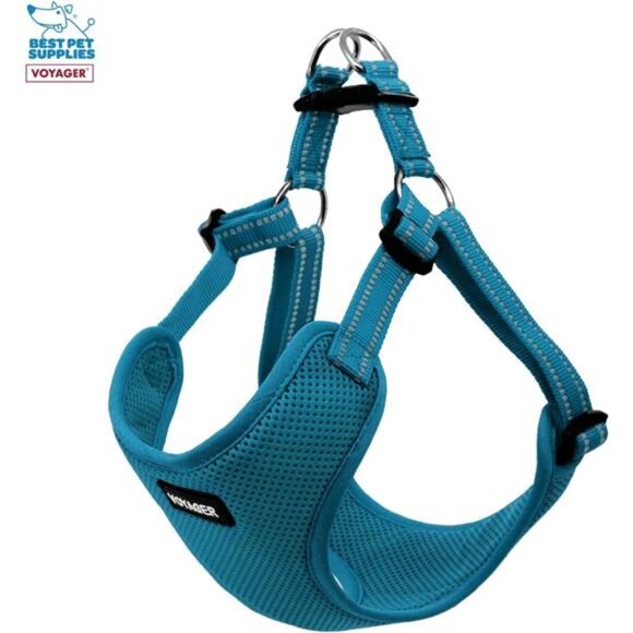 Pet Supplies Voyager Adjustable Dog Harness Leash Set with Reflective Stripes - Picture 4 of 7